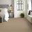 Bella Nova Nylon Nutshell 00764 Carpet Textured 4