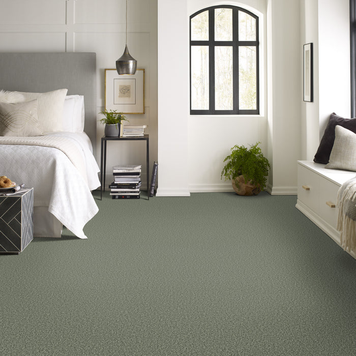 Bella Nova Nylon Oak Grove 00320 Carpet Textured 4