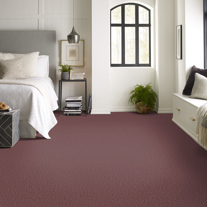 Bella Nova Nylon Tuscany 00870 Carpet Textured 4