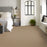 Bella Nova Nylon Savannah 00230 Carpet Textured 4