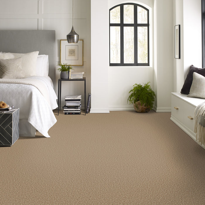 Bella Nova Nylon Savannah 00230 Carpet Textured 4