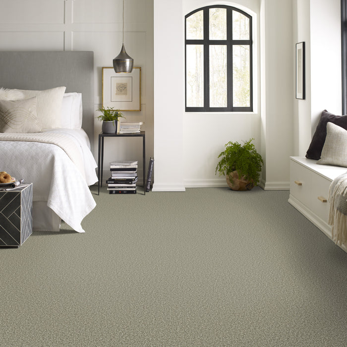 Bella Nova Nylon Highlands 00310 Carpet Textured 4