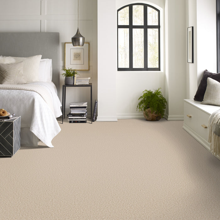 Bella Nova Nylon Salt Air 00130 Carpet Textured 4
