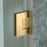 Stainless Steel Brushed Gold Shower Door Brushed Gold 11