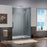 Stainless Steel Chrome Shower Door Chrome 3