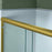 Stainless Steel Brushed Gold Shower Door Brushed Gold 8