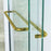 Stainless Steel Brushed Gold Shower Door Brushed Gold 7