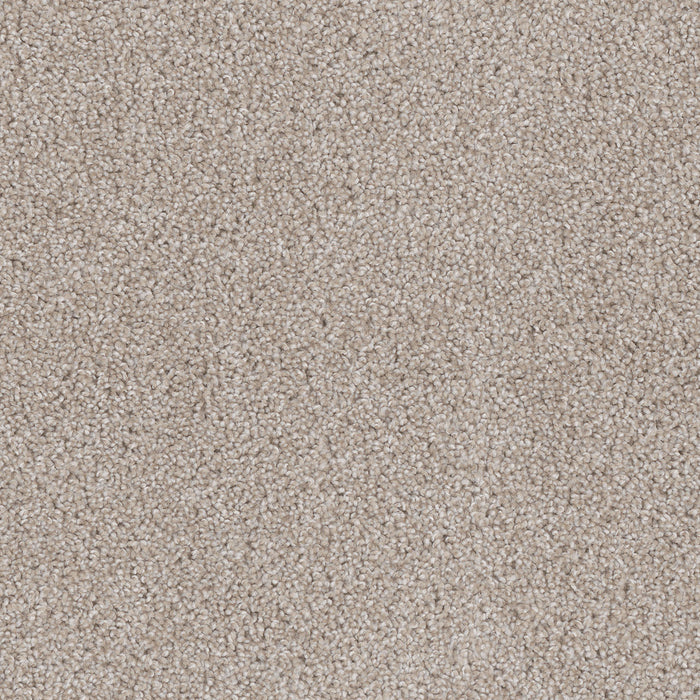 Cedar Creek Polyester Cameo 174 Carpet Textured 1