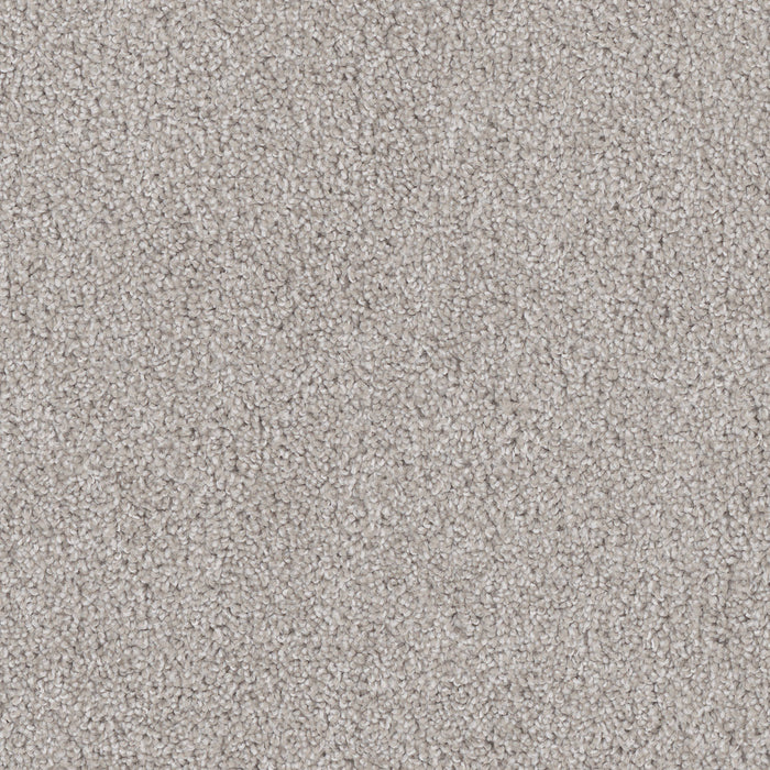 Cedar Creek Polyester Clam Shell 182 Carpet Textured 1