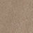Cedar Creek Polyester Honey Beige 510 Carpet Textured 1