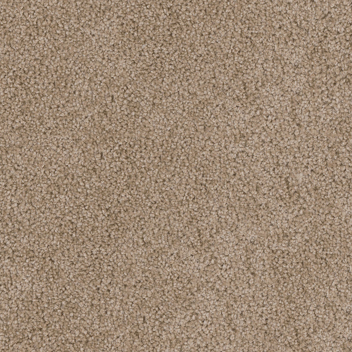 Cedar Creek Polyester Honey Beige 510 Carpet Textured 1