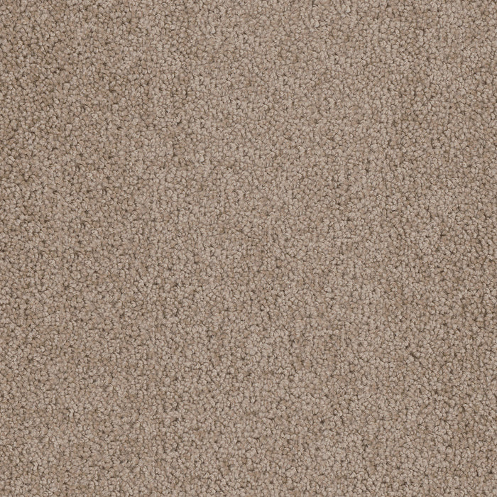 Cedar Creek Polyester Doeskin 530 Carpet Textured 1