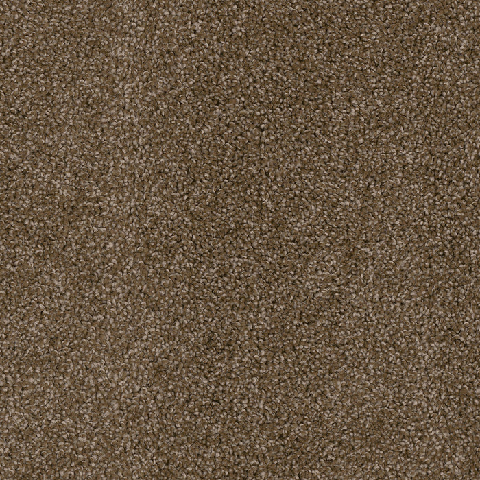 Cedar Creek Polyester Black Walnut 540 Carpet Textured 1