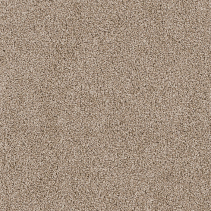 Cedar Creek Polyester Canyon Cliffs 571 Carpet Textured 1