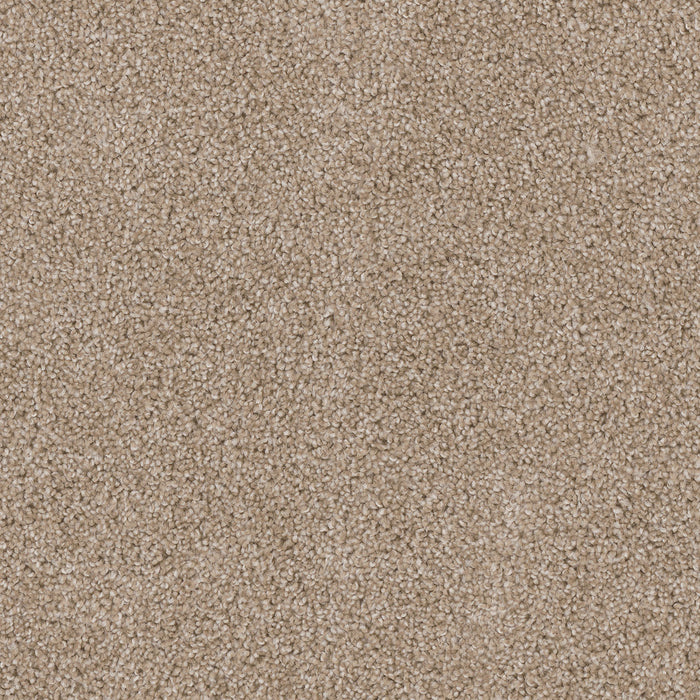 Cedar Creek Polyester Sawgrass 701 Carpet Textured 1