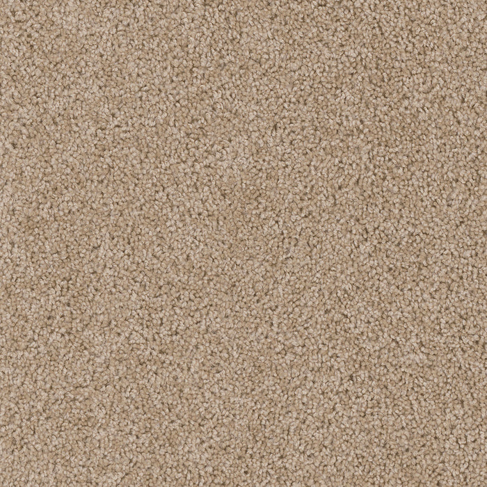 Cedar Creek Polyester Camel 710 Carpet Textured 1