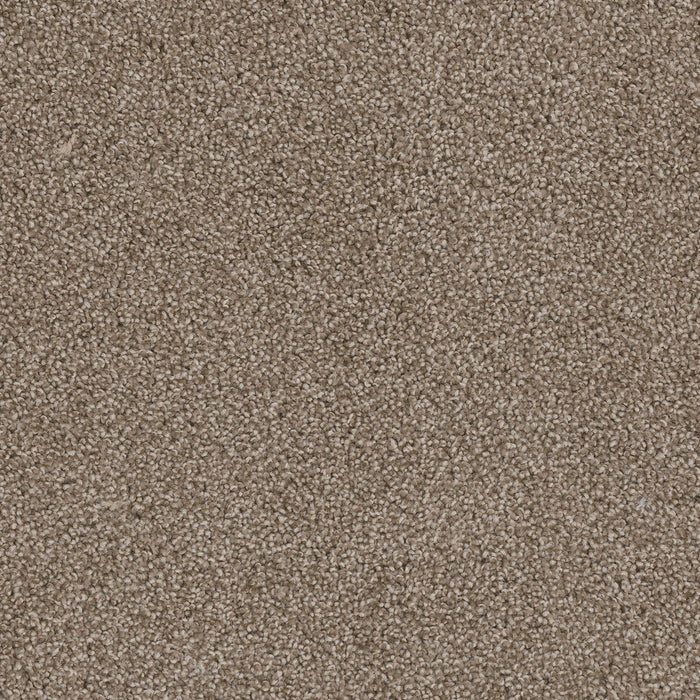 Cedar Creek Polyester Buff 720 Carpet Textured 1