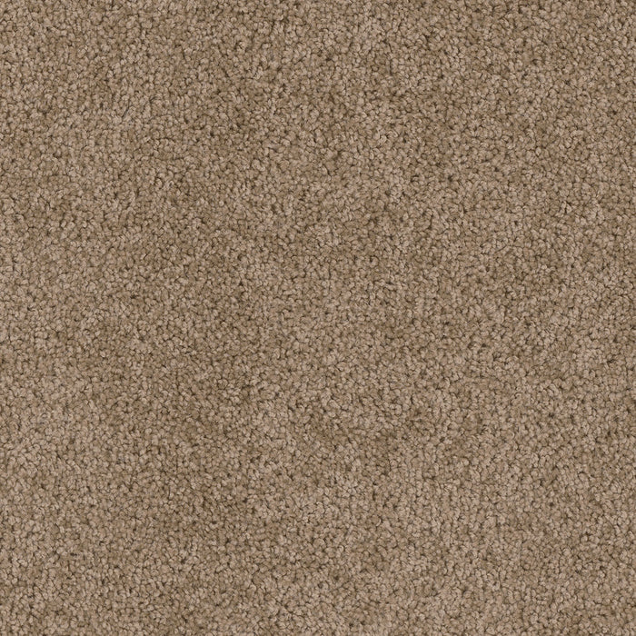Cedar Creek Polyester Dove 725 Carpet Textured 1