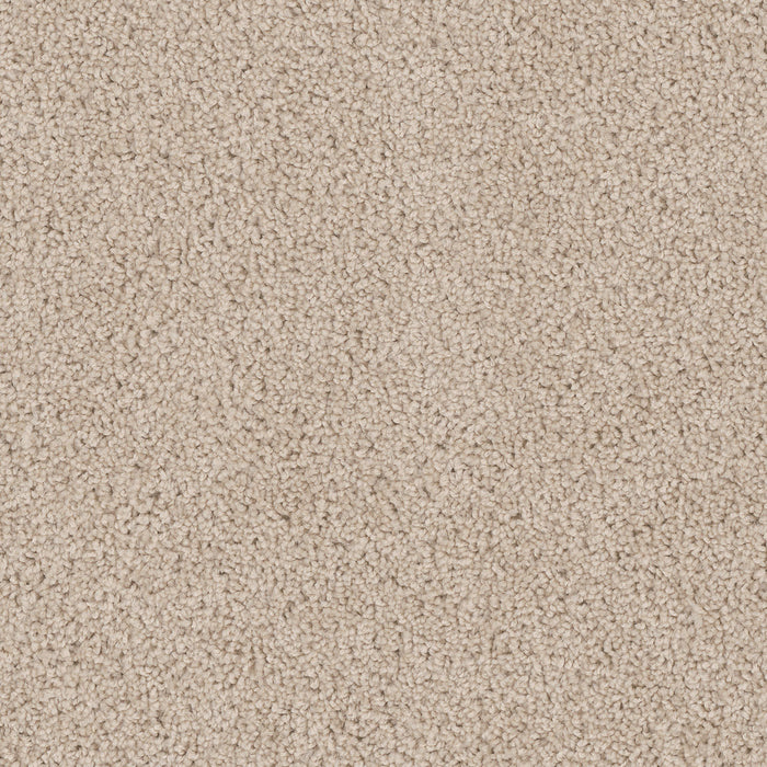 Cedar Creek Polyester Eggshell 730 Carpet Textured 1
