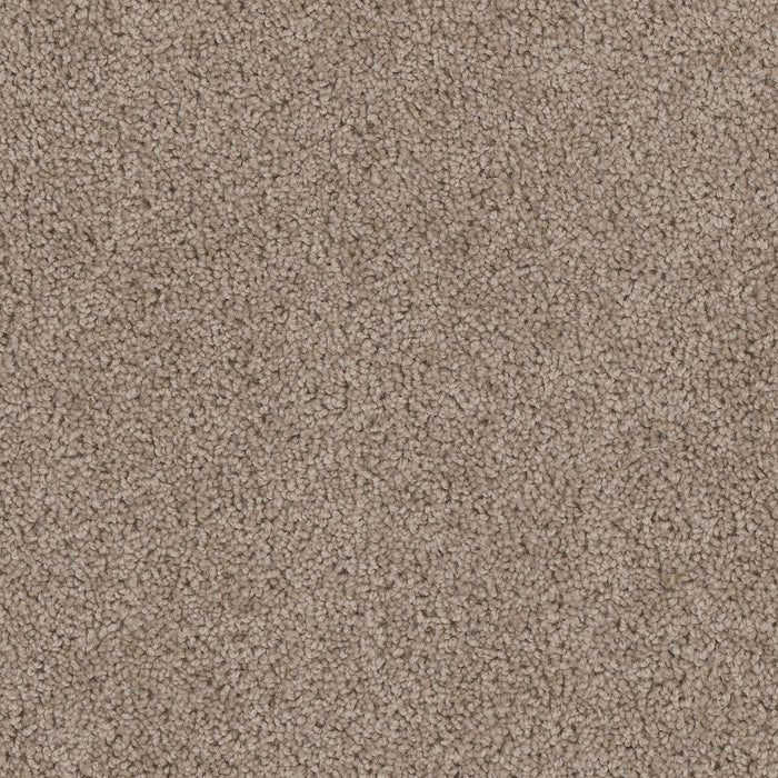Cedar Creek Polyester Ash 775 Carpet Textured 1