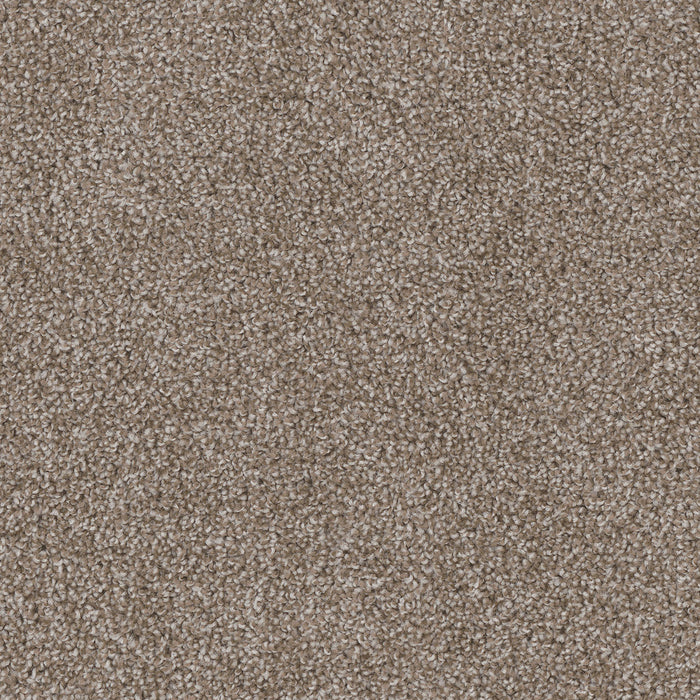 Cedar Creek Polyester Harbor 792 Carpet Textured 1