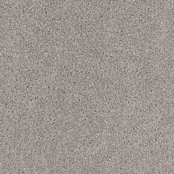 Cedar Creek Polyester Silver Birch 800 Carpet Textured 1