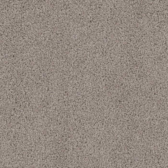 Cedar Creek Polyester Castle 945 Carpet Textured 1