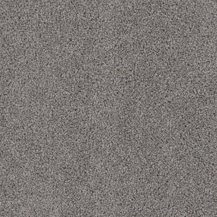 Cedar Creek Polyester Bayside 956 Carpet Textured 1