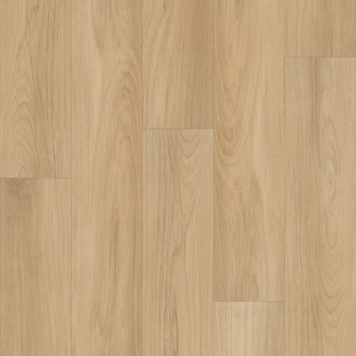 Distinction Plus Vinyl Golden Timber Resilient Luxury Vinyl Plank ScufResist 1