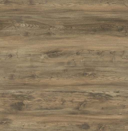 Radius 2.0 Vinyl Taylor Taupe C13 Vinyl Plank Embossed 1