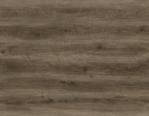 Radius 2.0 Vinyl Raegan Lane C05 Vinyl Plank Embossed 1