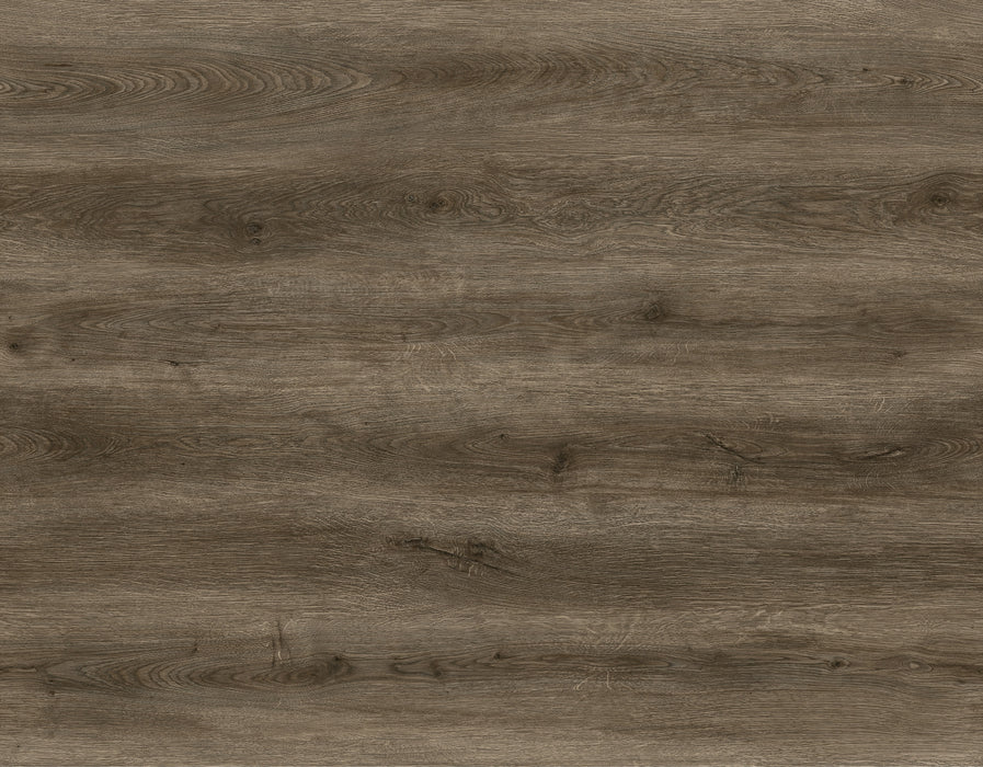 Radius 2.0 Vinyl Raegan Lane C05 Vinyl Plank Embossed 2
