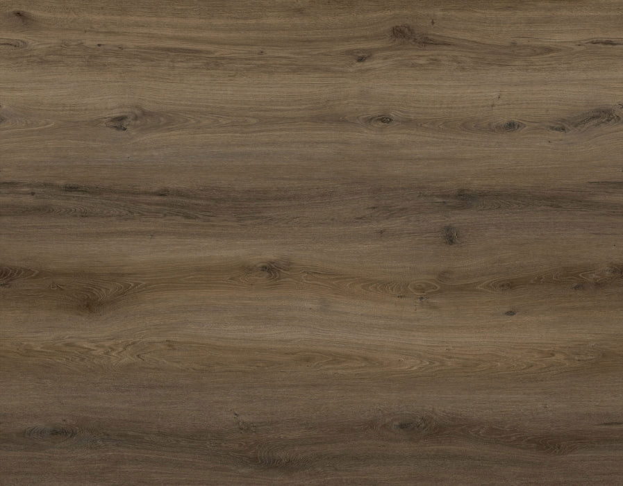 Radius 2.0 Vinyl Dashwood C08 Vinyl Plank Embossed 1