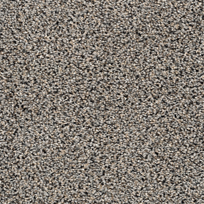 Sweepstakes Polyester Creek Bend 317 Carpet Textured 1