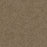 Sweepstakes Polyester Honey Beige 510 Carpet Textured 1