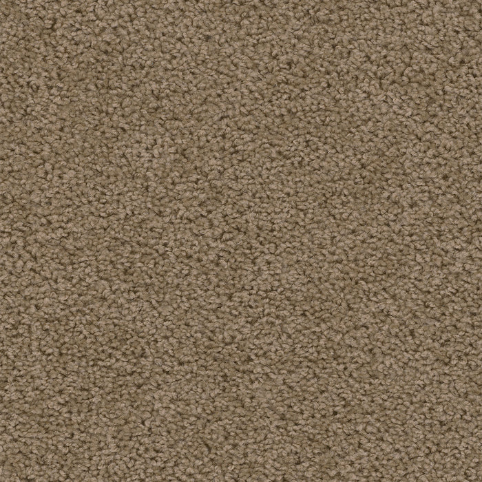Sweepstakes Polyester Honey Beige 510 Carpet Textured 1