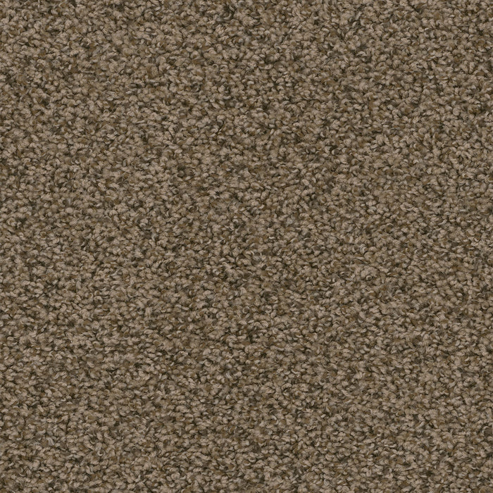 Sweepstakes Polyester Agate 512 Carpet Textured 1