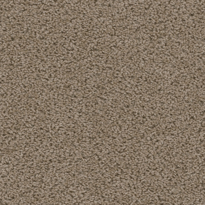 Sweepstakes Polyester Doeskin 530 Carpet Textured 1
