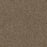 Sweepstakes Polyester Taupe 565 Carpet Textured 1