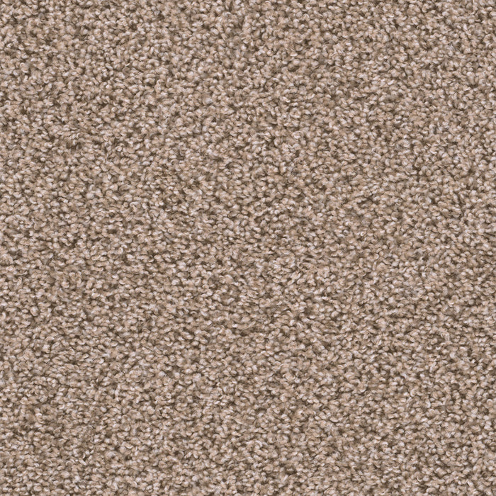 Sweepstakes Polyester Claystone 708 Carpet Textured 1