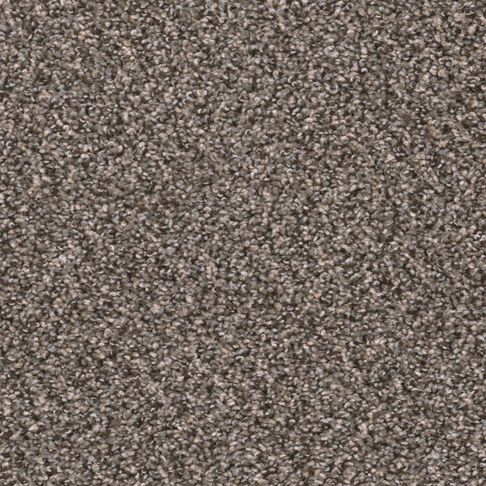 Sweepstakes Polyester Ironside 783 Carpet Textured 1