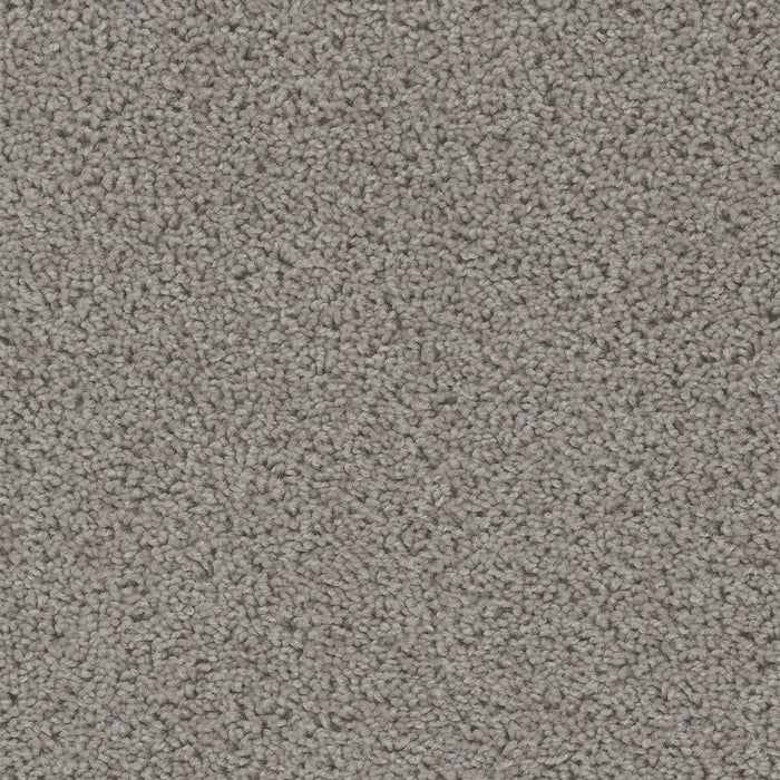 Sweepstakes Polyester Chrome 927 Carpet Textured 1