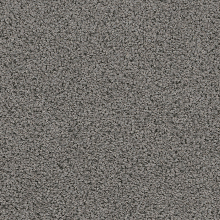 Sweepstakes Polyester Bayside 956 Carpet Textured 1