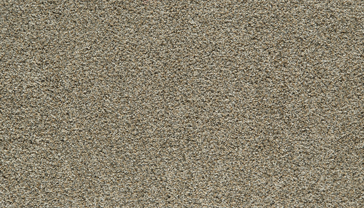Cozy Companion II Polyester Homestead 878 Carpet Textured 1