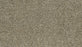 Cozy Companion II Polyester Homestead 878 Carpet Textured 1
