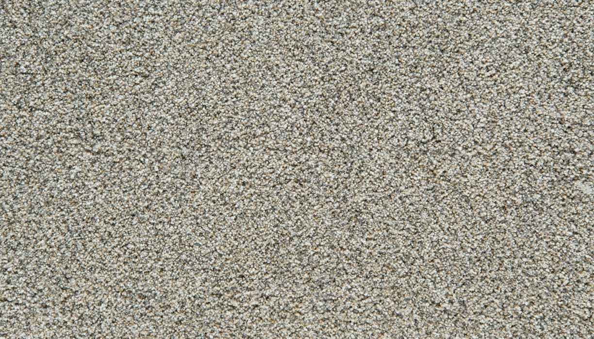 Cozy Companion II Polyester Oyster 948 Carpet Textured 1