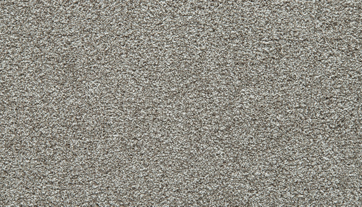 Cozy Companion II Polyester Pebble Trail 959 Carpet Textured 1