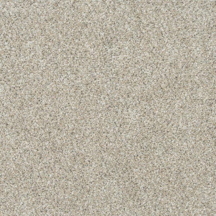 Apollo II Polyester Calcite 935 Carpet Textured 1