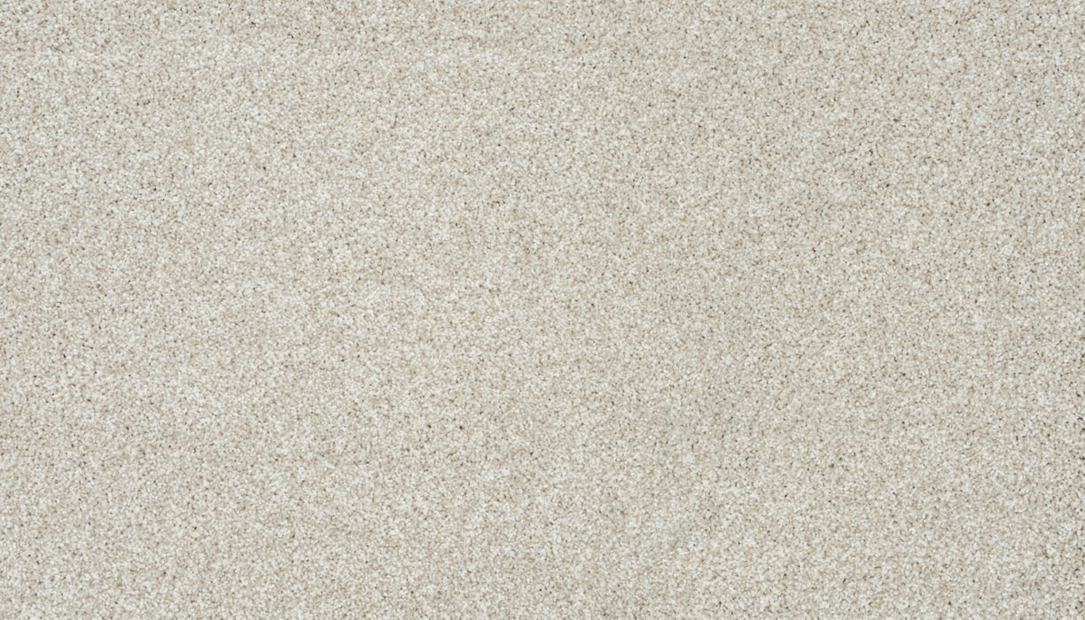 Apollo III Polyester Biscotti 721 Carpet Textured 1