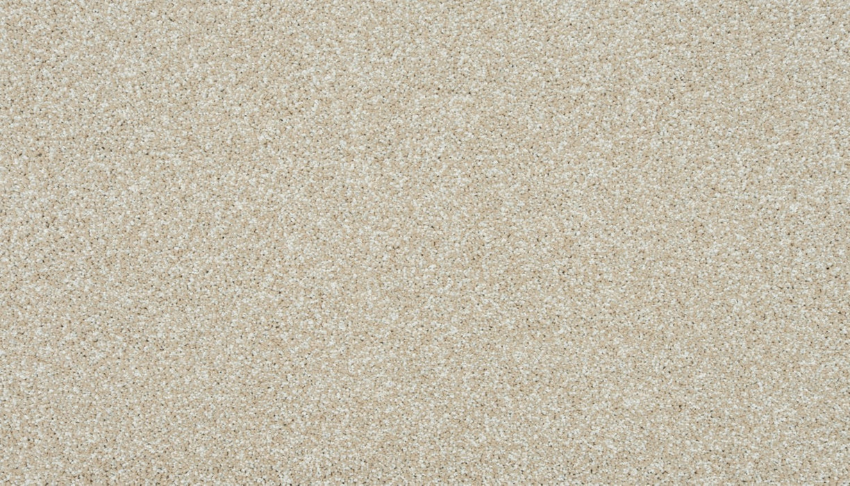 Apollo III Polyester Creamstone 736 Carpet Textured 1